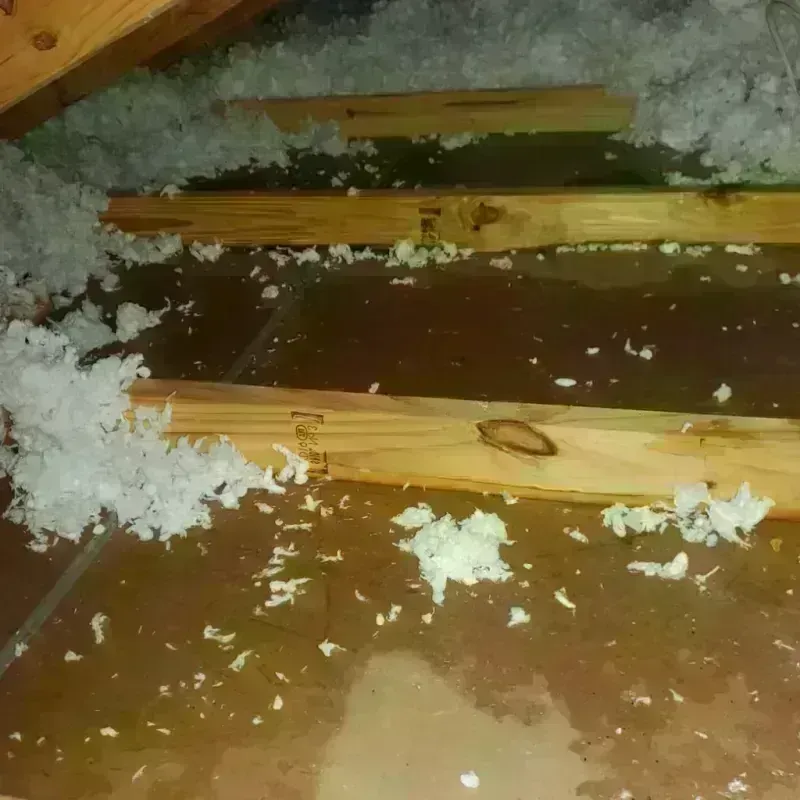 Attic Water Damage in City of Hopewell, VA