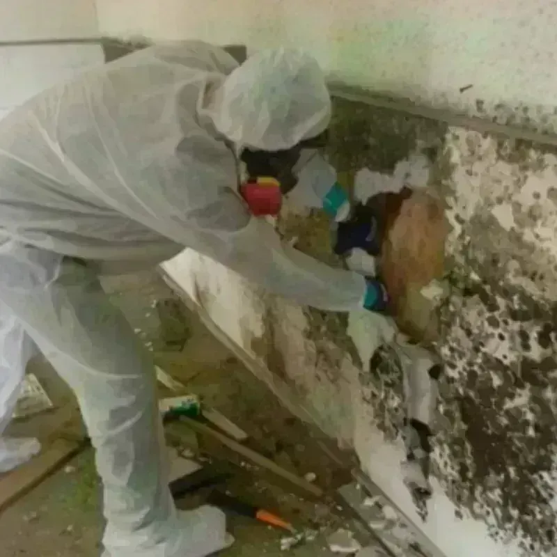 Mold Remediation and Removal in City of Hopewell, VA